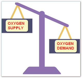 Oxygen supply demand mismatch is the principle behind the tmt test