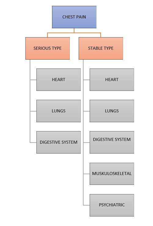 Tree diagram showing causes of chest pain